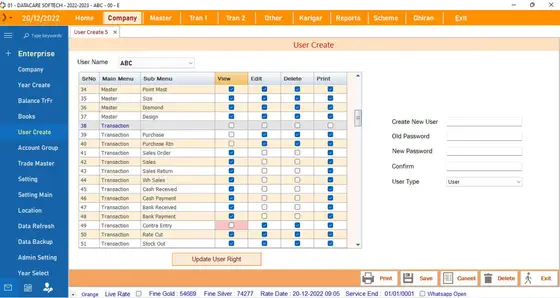 DataCare Next jewellery software – User rights screen