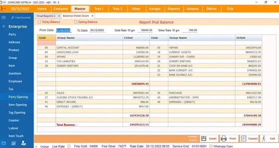 DataCare Next jewellery software – Trial balance screen